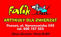 logo-Fafik